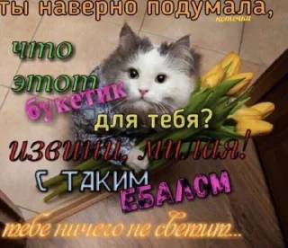 Sticker Создай свои стикеры - @sozdsti_bot - 11