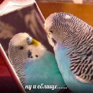 Sticker Создай свои стикеры - @sozdsti_bot - 10