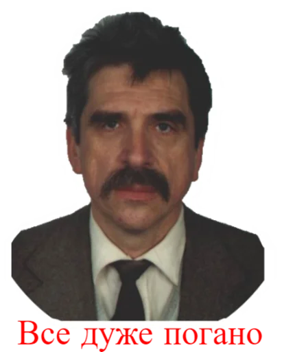 Стикер FIT - 3