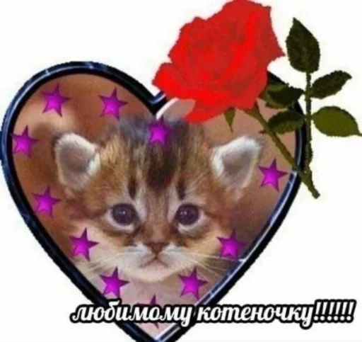 Sticker localllmemes - 1