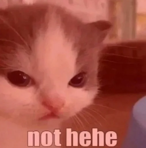 Sticker localllmemes - 1