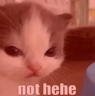 Sticker универсалы - 4