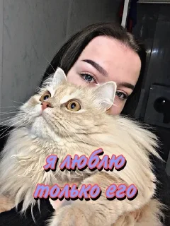 Стикер шпаклегинова - 6