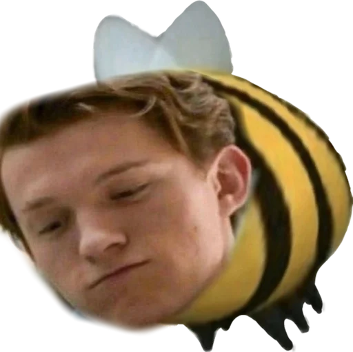 person human face helmet