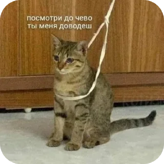 Sticker Пизда детачмопа - 9