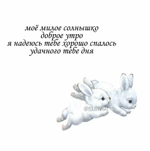 СМС мультфильм кролик