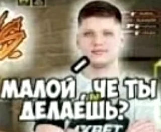 Стикер 🦦🦦🦦 - 4