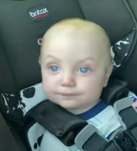 transport person car seat