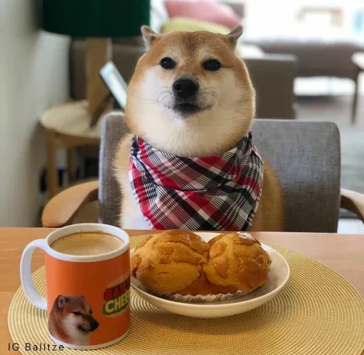 𝐂𝐔𝐓𝐄 𝐂𝐇𝐄𝐄𝐌𝐒 | @lonely_weeb - 