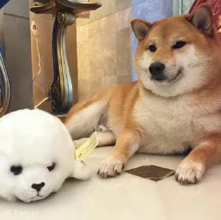 Стикер 𝐂𝐔𝐓𝐄 𝐂𝐇𝐄𝐄𝐌𝐒 | @lonely_weeb - 5