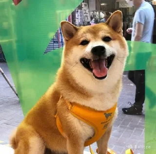 Стикер 𝐂𝐔𝐓𝐄 𝐂𝐇𝐄𝐄𝐌𝐒 | @lonely_weeb - 8