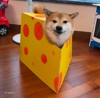 Стикер 𝐂𝐔𝐓𝐄 𝐂𝐇𝐄𝐄𝐌𝐒 | @lonely_weeb - 3