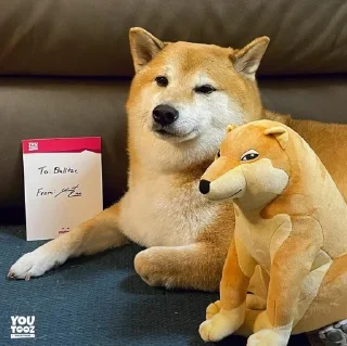 Стикер 𝐂𝐔𝐓𝐄 𝐂𝐇𝐄𝐄𝐌𝐒 | @lonely_weeb - 6