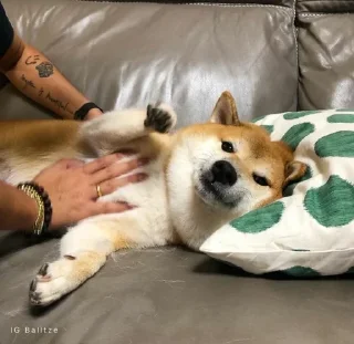 Стикер 𝐂𝐔𝐓𝐄 𝐂𝐇𝐄𝐄𝐌𝐒 | @lonely_weeb - 4