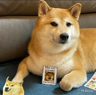 Стикер 𝐂𝐔𝐓𝐄 𝐂𝐇𝐄𝐄𝐌𝐒 | @lonely_weeb - 1