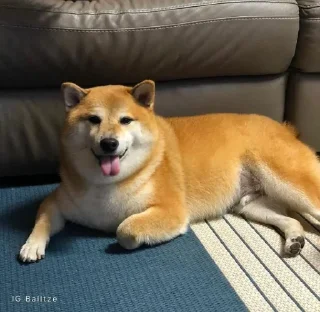 Стикер 𝐂𝐔𝐓𝐄 𝐂𝐇𝐄𝐄𝐌𝐒 | @lonely_weeb - 10