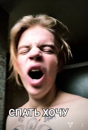 human face tooth jaw