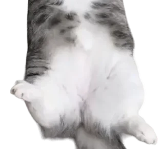 Sticker Long Komaru @komaru_GIF - 5