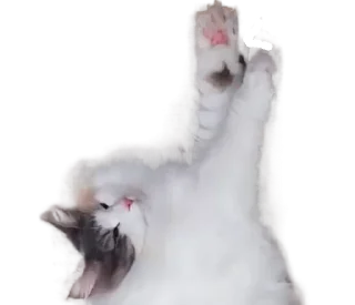 Sticker Long Komaru @komaru_GIF - 4