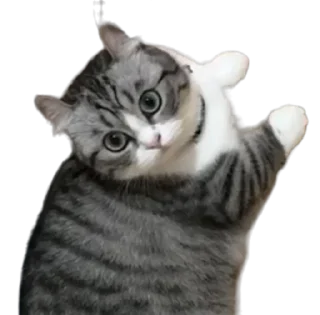 Sticker Long Komaru @komaru_GIF - 1