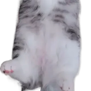 Sticker Long Komaru @komaru_GIF - 9