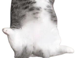 Sticker Long Komaru @komaru_GIF - 6