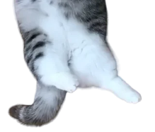 Sticker Long Komaru @komaru_GIF - 11