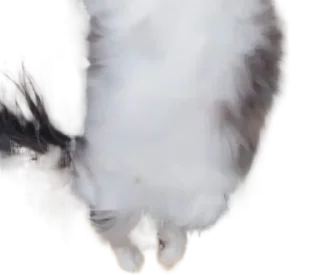 Sticker Long Komaru @komaru_GIF - 10