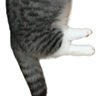 Sticker Long Komaru @komaru_GIF - 2