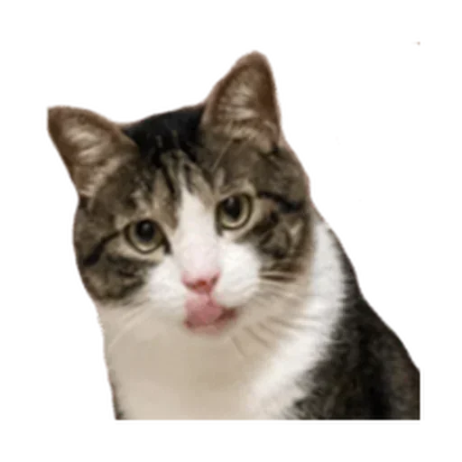 Стикер longpack_by_MoiStikiBot - 1