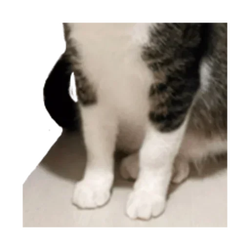 Sticker longpack_by_MoiStikiBot - 1