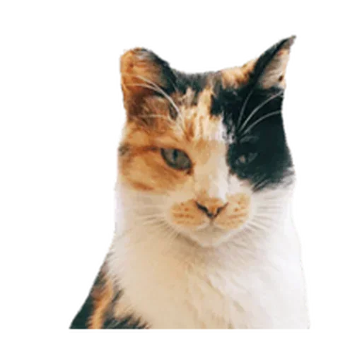 Стикер longpack_by_MoiStikiBot - 1