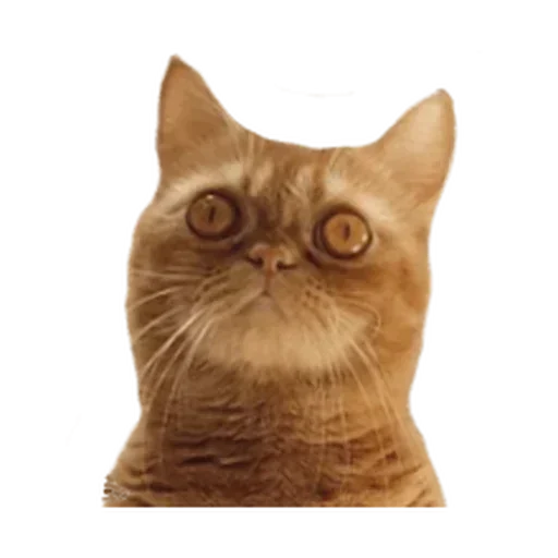 Long Animals • @TgStickery - 