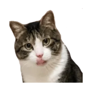 Sticker Long Animals • @TgStickery - 8