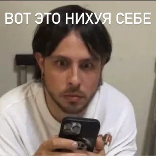 Стикер ЛУНТИК В АХУЕ - 7