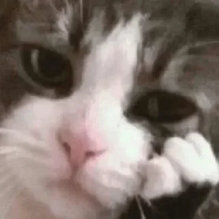 Стикер ✯︎ - 6