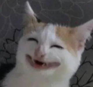 Стикер ✯︎ - 1