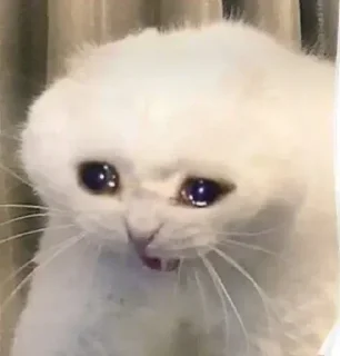 Стикер ✯︎ - 3