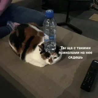 Стикер ✯︎ - 4