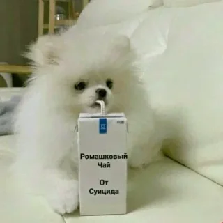 Стикер ✯︎ - 0