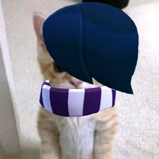 Обычный :: @fStikBot - small to medium-sized cats