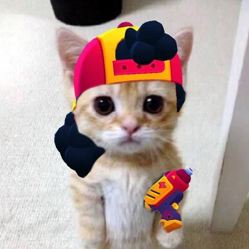 animal toy small to medium-sized cats