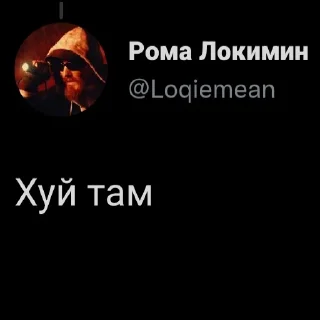 Стикер Локимин на вп - 4