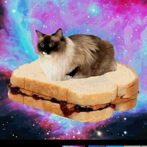 Стикер loshara :: @fStikBot - 11