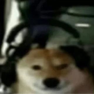 Sticker лошпедкиଘ(੭ˊ꒳​ˋ)੭✧ - 11