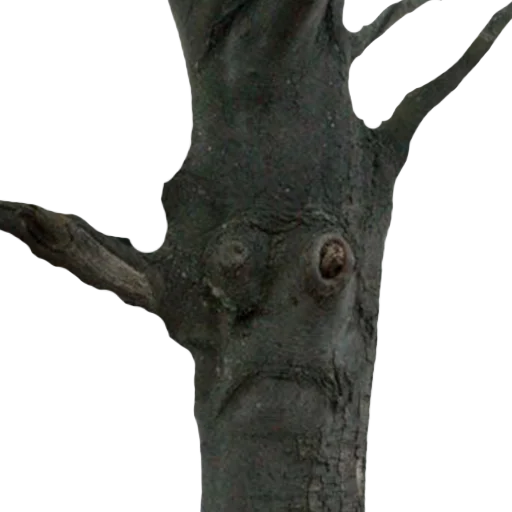 Sticker lostintrees - 1