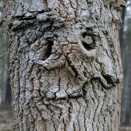 Sticker lostintrees - 1