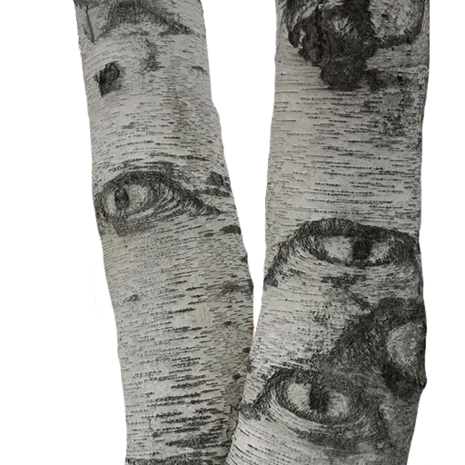 Sticker lostintrees - 1