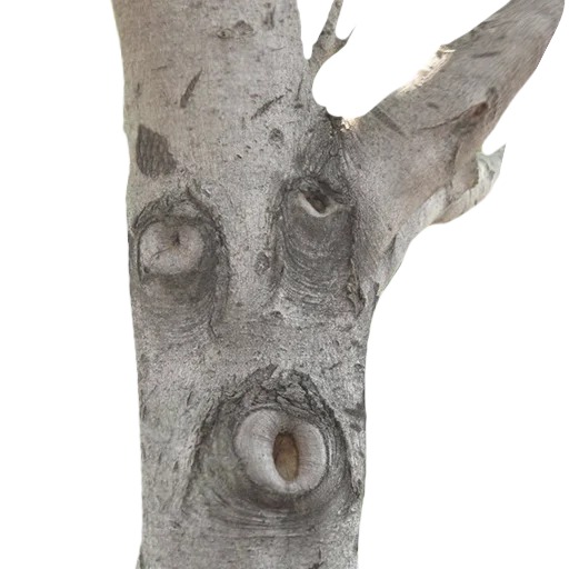 Sticker lostintrees - 1