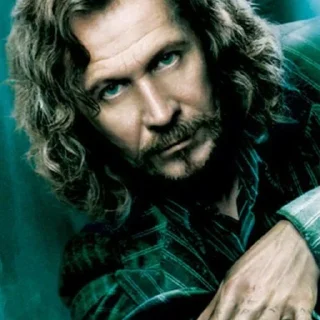 Стикер ⭐Сириус⭐ - 7